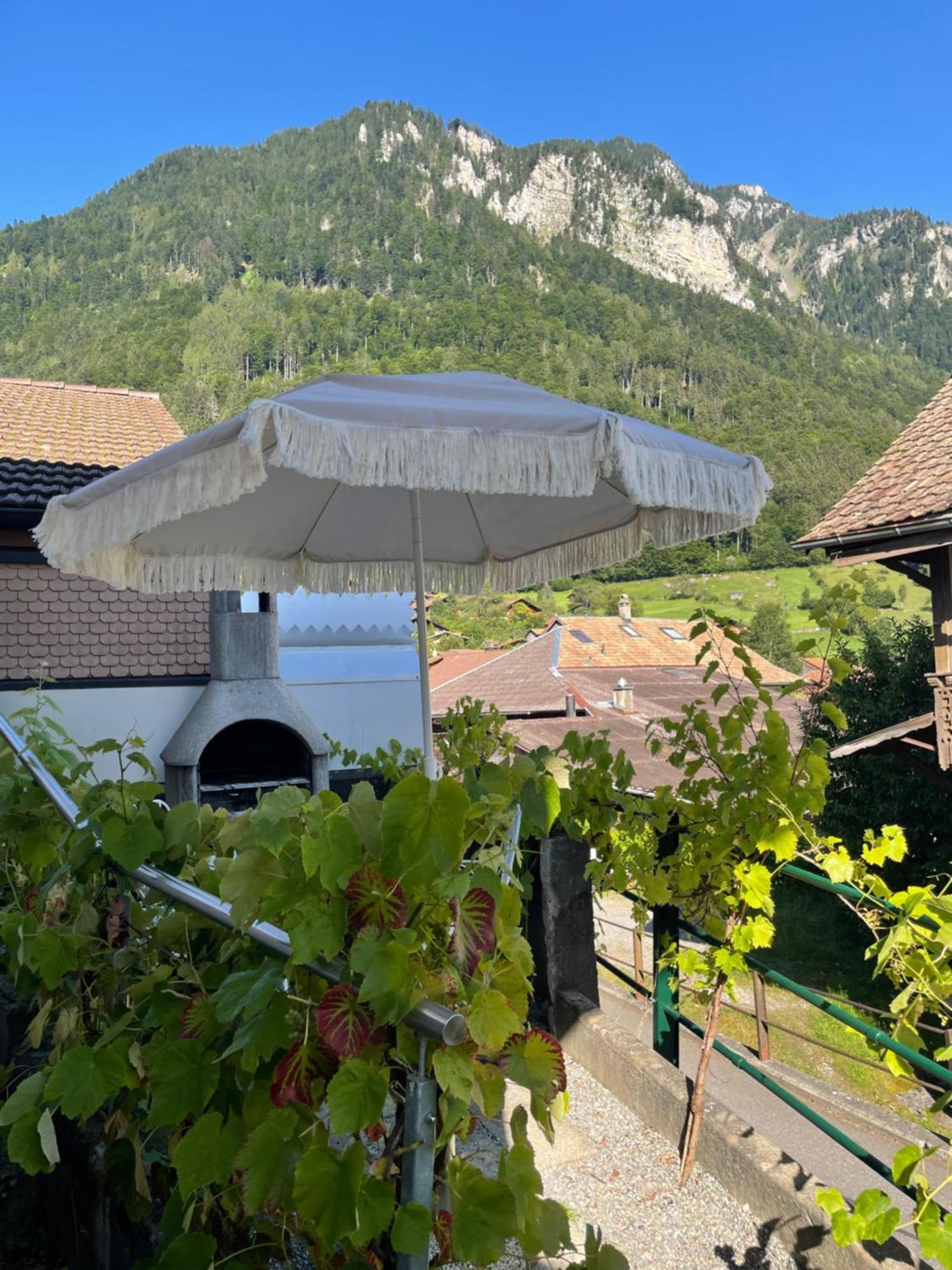 Studio In Alps By Apartments Capricorn Gsteigwiler Buitenkant foto